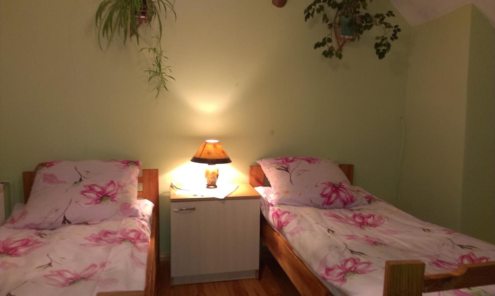 Agro-Tur Domki W Szuwarach Kuty Habitación foto