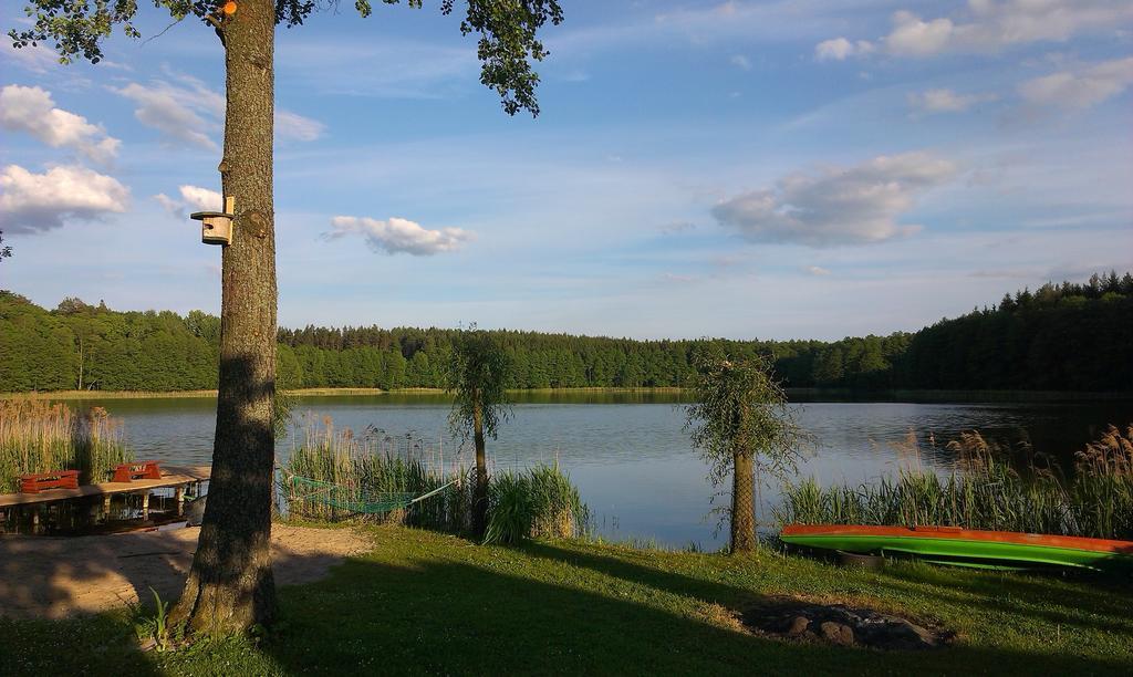 Agro-Tur Domki W Szuwarach Kuty Exterior foto