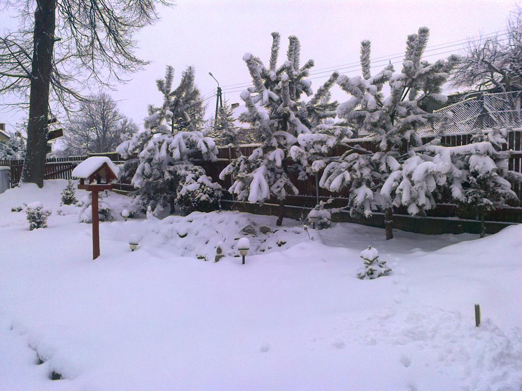 Agro-Tur Domki W Szuwarach Kuty Exterior foto